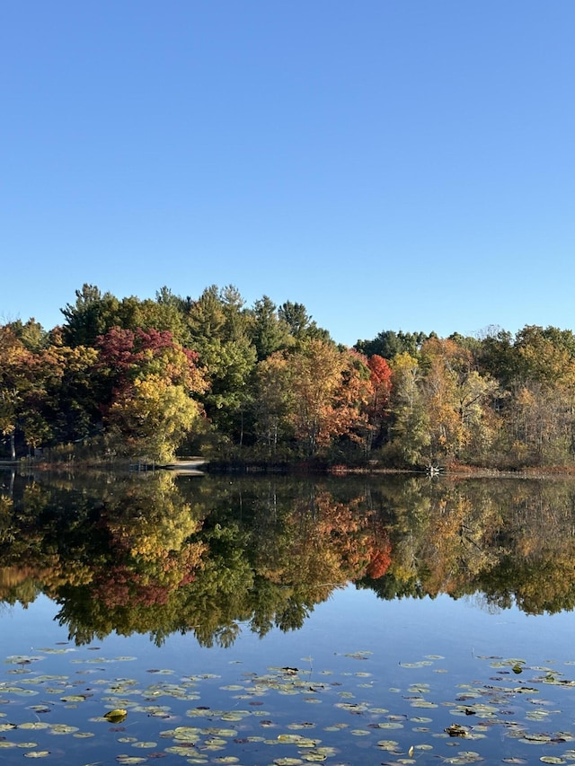 6026 Keeney Rd, Six Lakes, MI 48886 - water view with a heavily wooded area