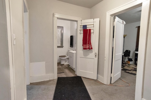 760 Algonquin St, Detroit, MI 48215 - hallway with carpet floors