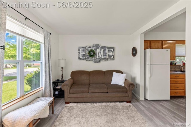 501 Front St, Holly, MI 48442 - living room featuring light wood-style floors and baseboards