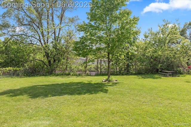 501 Front St, Holly, MI 48442 - view of yard