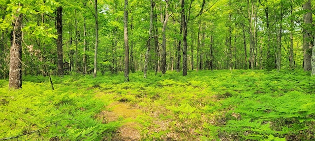 1308 Beaver Rd, Bitely, MI 49309 - view of wooded area