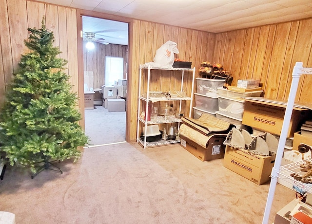 1308 Beaver Rd, Bitely, MI 49309 - view of storage room