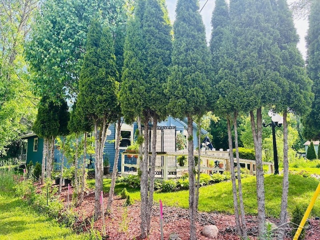 2093 California Ave, Bridgeport, MI 48601 - view of surrounding community