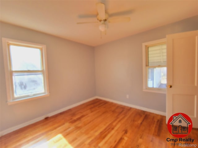17703 Woodbine St, Detroit, MI 48219 - photo 19
