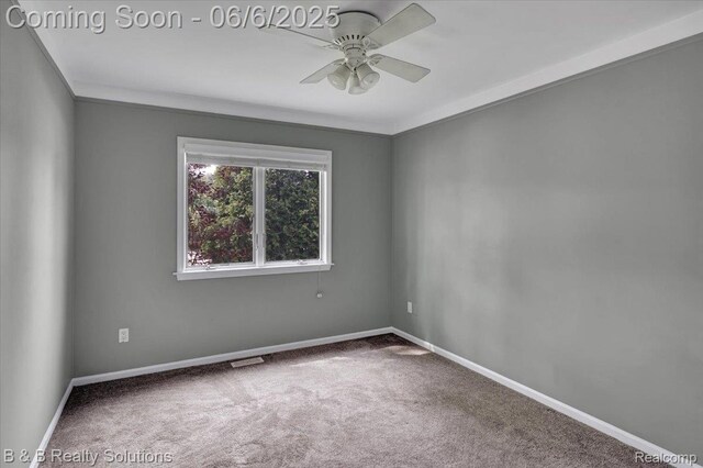 440 Jonathon Dr, Almont, MI 48003 - photo 20
