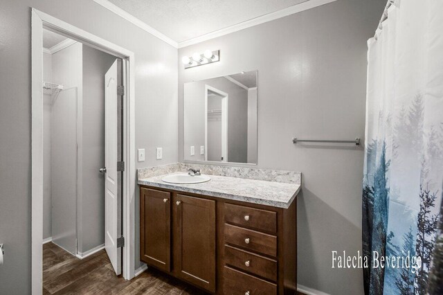 2575 Theodore Ave, Hudsonville, MI 49426 - bathroom featuring wood finished floors, vanity, ornamental molding, and baseboards