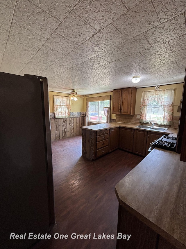 8446 Bamfield Rd, South Branch, MI 48761 - kitchen featuring dark wood-style flooring, wainscoting, a peninsula, a sink, and gas range