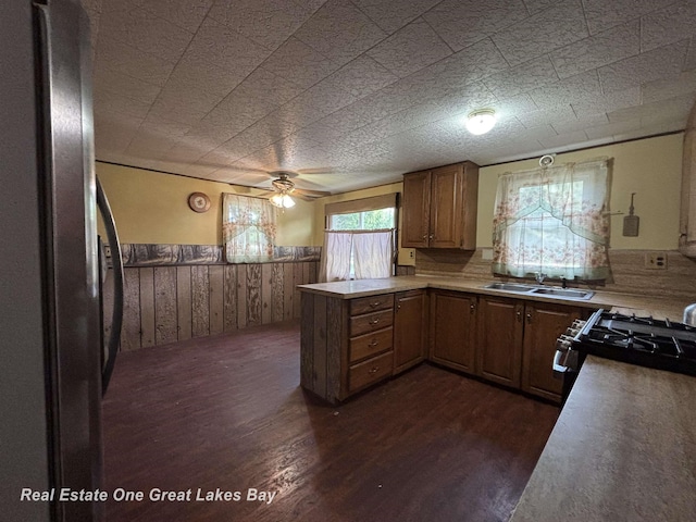 8446 Bamfield Rd, South Branch, MI 48761 - kitchen featuring a sink, stainless steel appliances, a wainscoted wall, dark wood-style flooring, and a peninsula