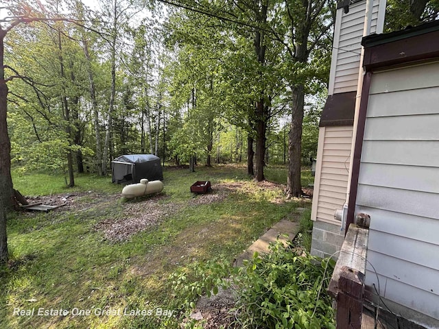 8446 Bamfield Rd, South Branch, MI 48761 - view of yard