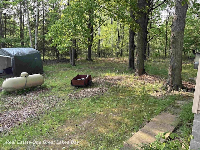 8446 Bamfield Rd, South Branch, MI 48761 - view of yard