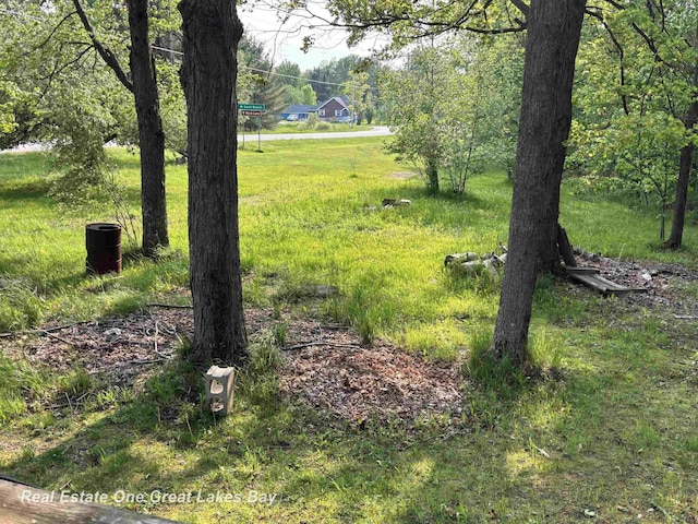 8446 Bamfield Rd, South Branch, MI 48761 - view of yard