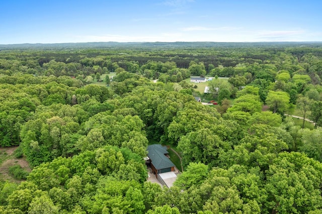 1708 N Norris Rd, Middleville, MI 49333 - aerial view of a heavily wooded area