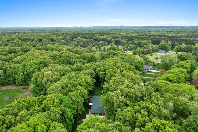 1708 N Norris Rd, Middleville, MI 49333 - aerial view of a forest