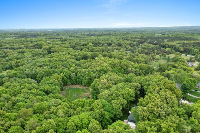 1708 N Norris Rd, Middleville, MI 49333 - aerial view of a forest