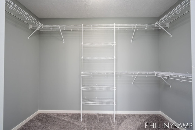 3880 Elm Ridge Dr, Holland, MI 49424 - walk in closet with carpet flooring