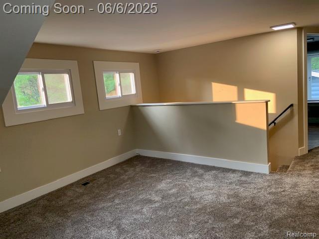 4798 Hillcrest Dr, Caseville, MI 48725 - photo 16