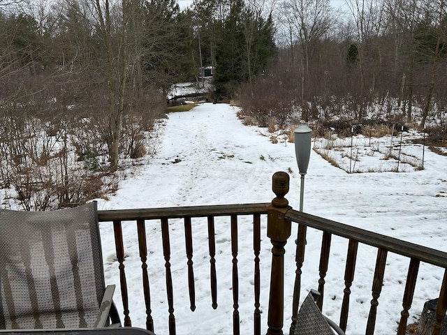 3459 N Morrie Ln, White Cloud, MI 49349 - view of snowy yard