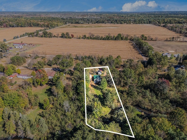 3459 N Morrie Ln, White Cloud, MI 49349 - overview of rural landscape with property parcel outlined