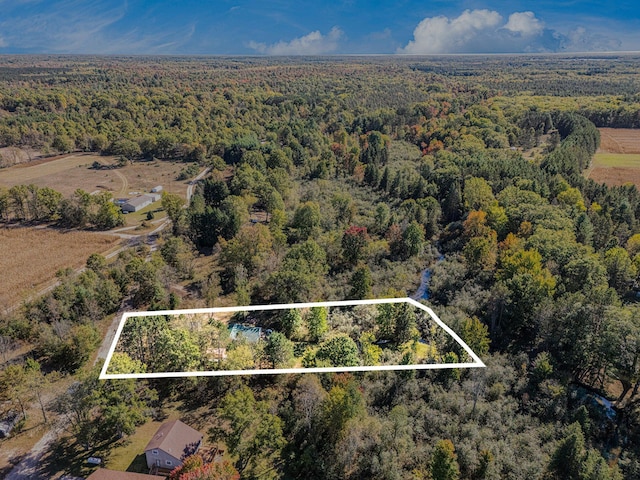 3459 N Morrie Ln, White Cloud, MI 49349 - aerial overview of property's location with a forest and property boundaries highlighted