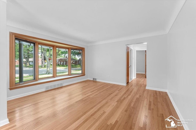 8691 Louise St, Allen Park, MI 48101 - spare room with healthy amount of natural light, light wood-style floors, and baseboards