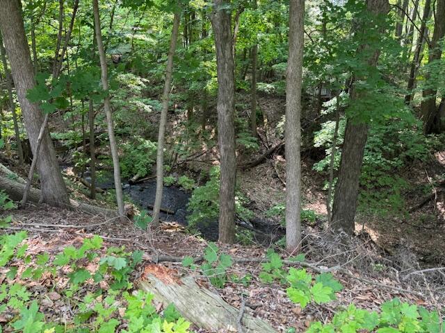 285 Scott St, Newaygo, MI 49337 - view of woods