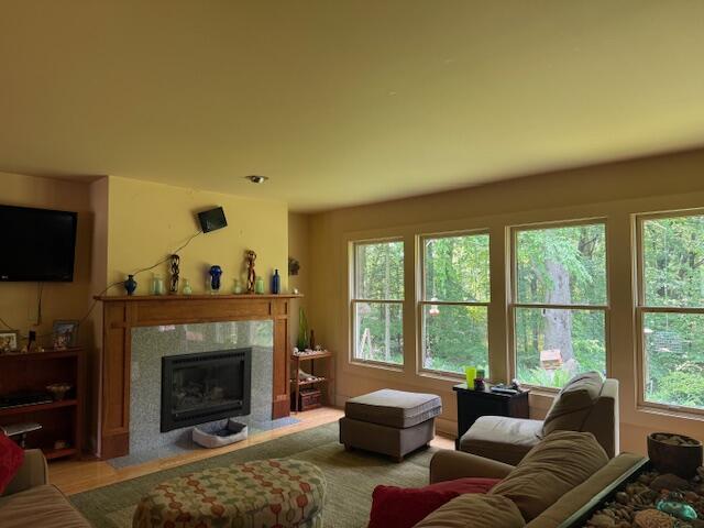 285 Scott St, Newaygo, MI 49337 - living area with plenty of natural light and a fireplace