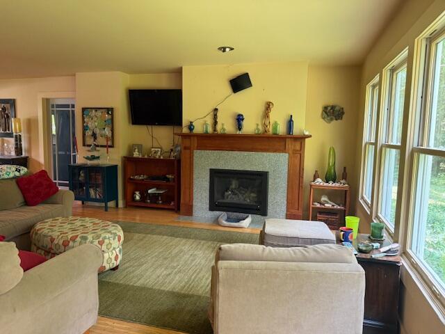 285 Scott St, Newaygo, MI 49337 - living room featuring wood finished floors and a glass covered fireplace