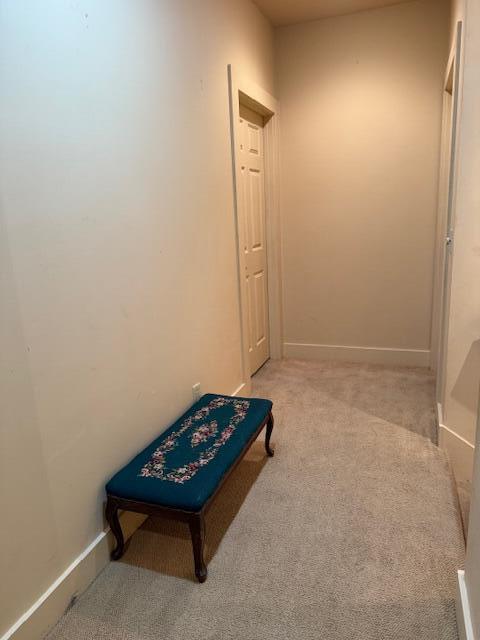 285 Scott St, Newaygo, MI 49337 - hallway with carpet flooring and baseboards
