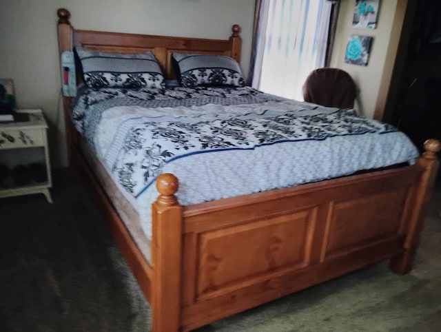 285 Scott St, Newaygo, MI 49337 - bedroom with carpet