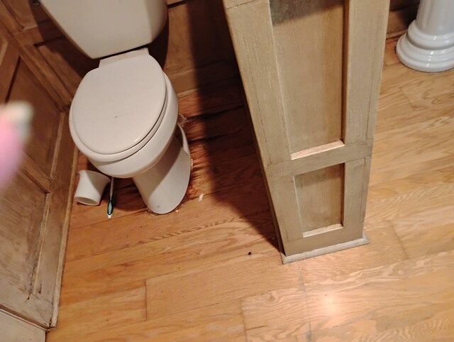 285 Scott St, Newaygo, MI 49337 - bathroom with toilet