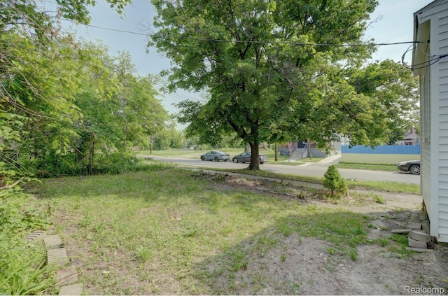 8103 E Canfield St, Detroit, MI 48214 - view of yard