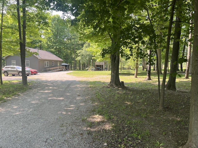 252 E Fenn Rd, Coldwater, MI 49036 - view of yard featuring driveway