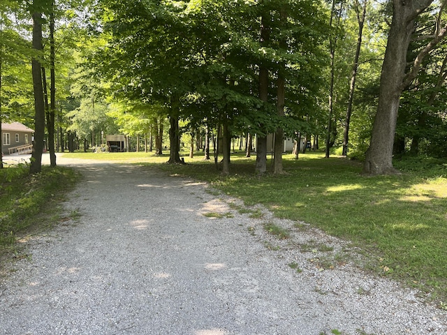252 E Fenn Rd, Coldwater, MI 49036 - view of yard with gravel driveway
