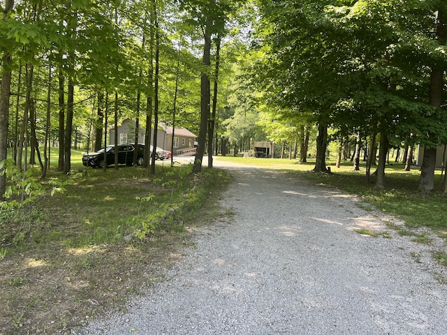 252 E Fenn Rd, Coldwater, MI 49036 - view of dirt / gravel driveway