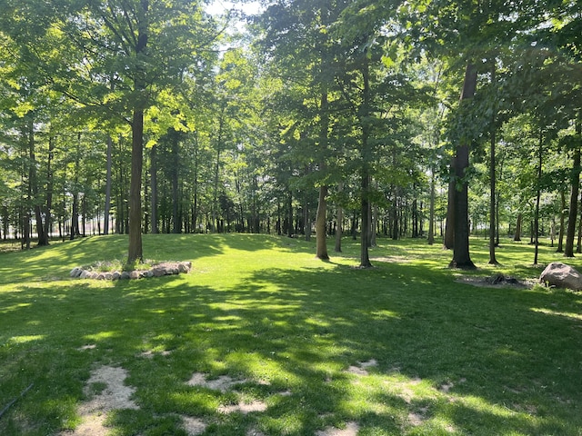 252 E Fenn Rd, Coldwater, MI 49036 - view of grassy yard