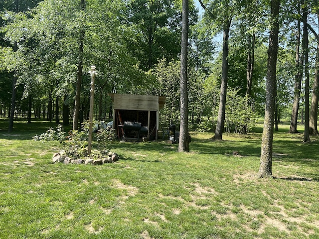 252 E Fenn Rd, Coldwater, MI 49036 - view of grassy yard