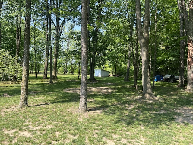 252 E Fenn Rd, Coldwater, MI 49036 - view of green lawn