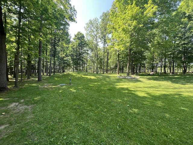 252 E Fenn Rd, Coldwater, MI 49036 - view of green lawn