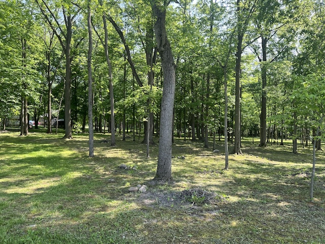 252 E Fenn Rd, Coldwater, MI 49036 - view of undeveloped land