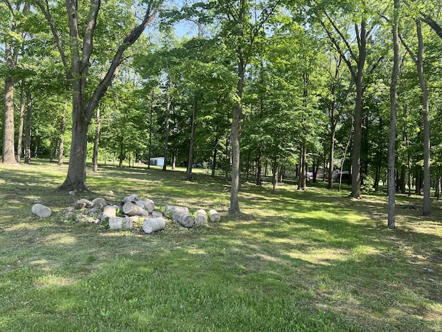 252 E Fenn Rd, Coldwater, MI 49036 - view of grassy yard