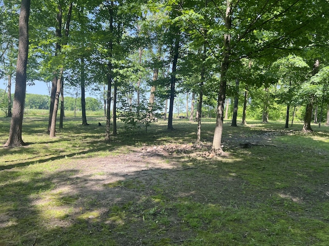 252 E Fenn Rd, Coldwater, MI 49036 - view of grassy yard
