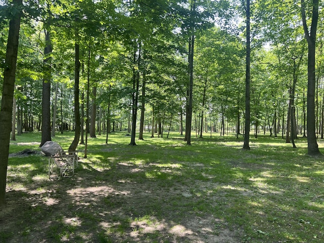 252 E Fenn Rd, Coldwater, MI 49036 - view of yard featuring a view of trees