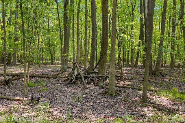 14721 Terry Rd, Berlin, MI 48002
