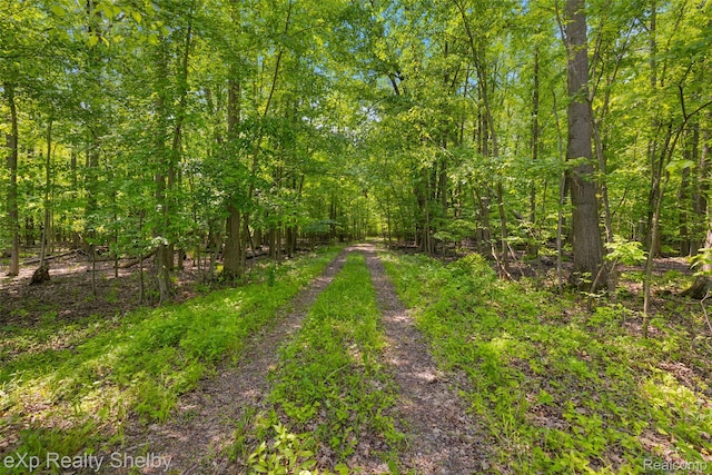 14721 Terry Rd, Berlin, MI 48002