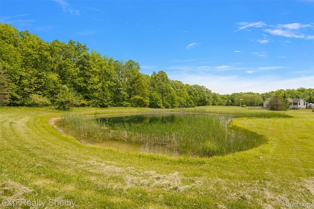 14721 Terry Rd, Berlin, MI 48002