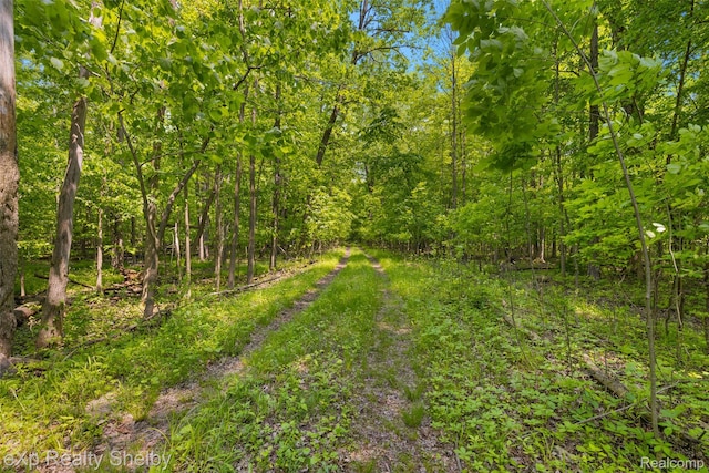 14721 Terry Rd, Berlin, MI 48002