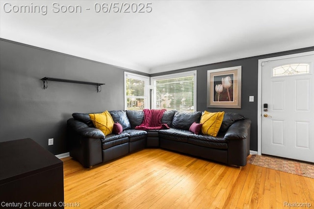 1731 N Franklin St, Dearborn, MI 48128 - living room featuring light wood-style flooring and baseboards