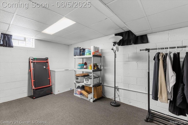 1731 N Franklin St, Dearborn, MI 48128 - below grade area featuring a drop ceiling, concrete block wall, and carpet