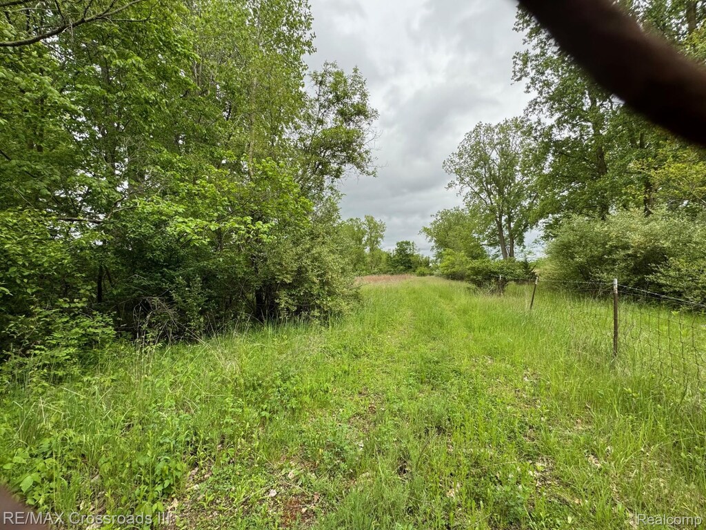 VACANT Oakville Waltz Rd, New Boston, MI 48164 - photo 1