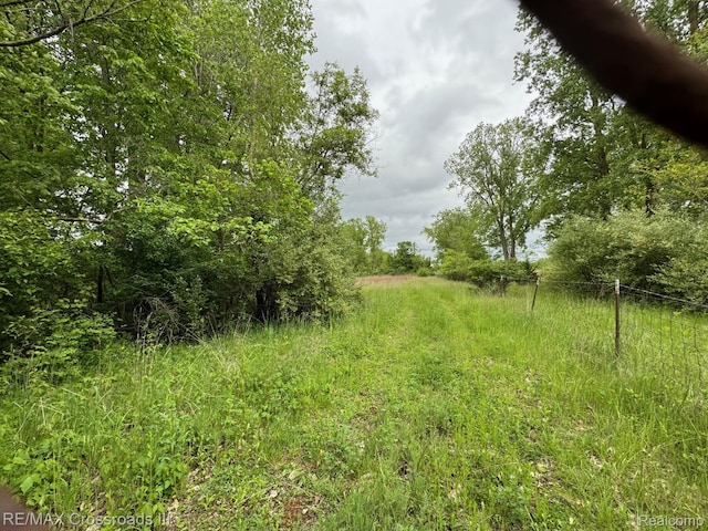 VACANT Oakville Waltz Rd, New Boston, MI 48164 - photo 1